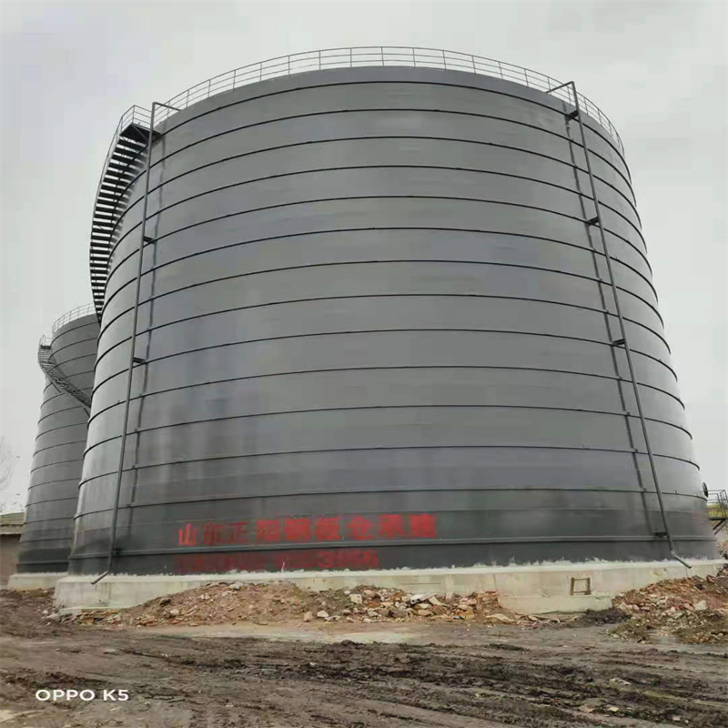 枫木镇3万吨大型钢板库